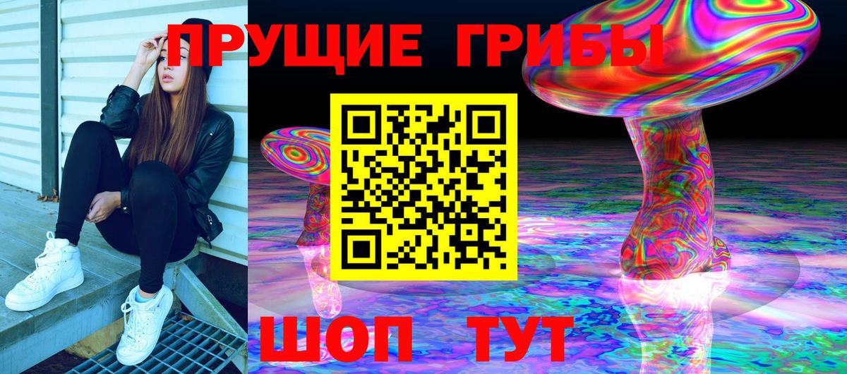 купить  сайты  Псилоцибиновые грибы прущие грибы  Вход с VPN  Подольск 