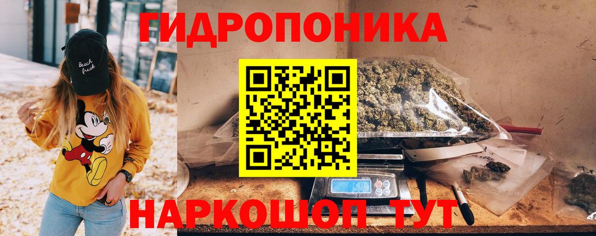Конопля планчик Подольск